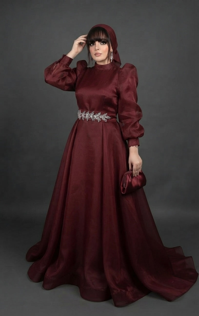organza  gown party wear maxi