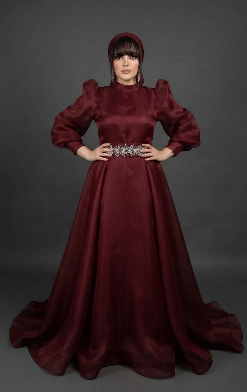 organza  gown party wear maxi